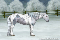 Horse Color:Watercolor Plaid Silver Brown Chinchilla Ice Dun Tobiano