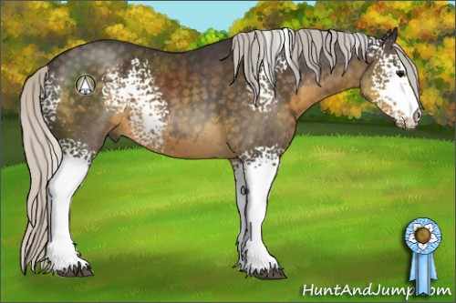 Horse Color:White Spotted Silver Smoky Black Sabino 