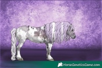 Horse Color:Watercolor White Spotted Silver Grullo Chinchilla Ice Onyx 