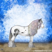 Horse Color:Nacre White Spotted Midnight Brown Chinchilla Ice Dun Splash Tobiano 
