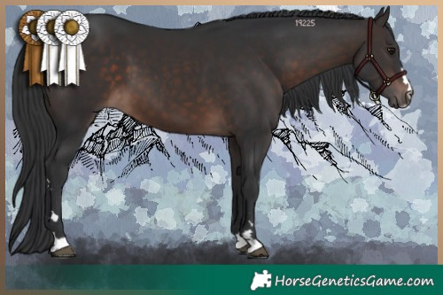 Horse Color:Brown Mushroom 