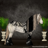 Horse Color:Void Perlino Roan Dun Tobiano 