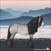 Horse Color:Platinum Brown Roan Dun 