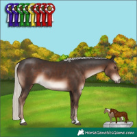 Horse Color:Liver Chestnut Mushroom 