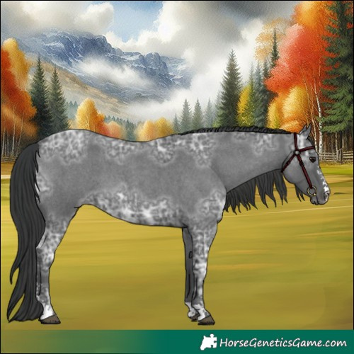 Horse Color:Blue Ice Roan Sabino