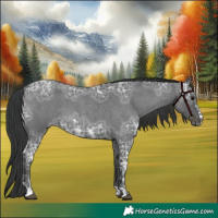 Horse Color:Blue Ice Roan Sabino 