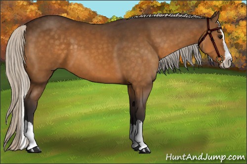 Horse Color:Silver Buckskin Sabino Splash