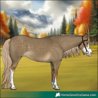 Horse Color:Chocolate Palomino Dun Sabino 