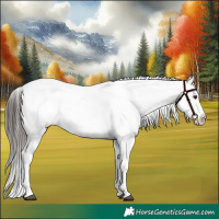 Horse Color:White Spotted Liver Red Roan Appaloosa 