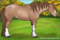 Horse Color:Brown Pearl 