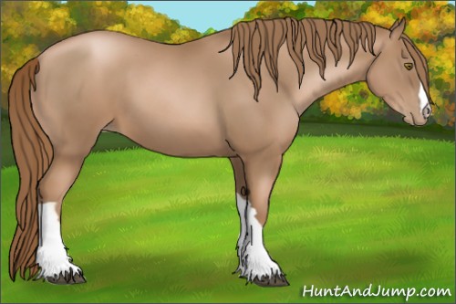 Horse Color:Liver Chestnut Pearl