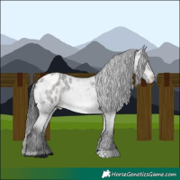 Horse Color:Platinum Brown Roan Dun Appaloosa 