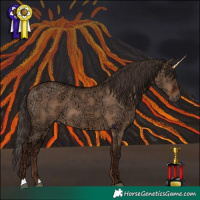 Horse Color:Liver Red Dun Ice 