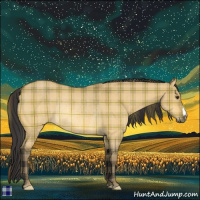 Horse Color:Plaid Buckskin Dun Rabicano