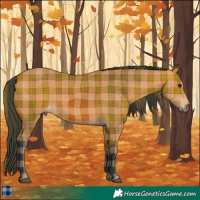 Horse Color:Plaid Bay