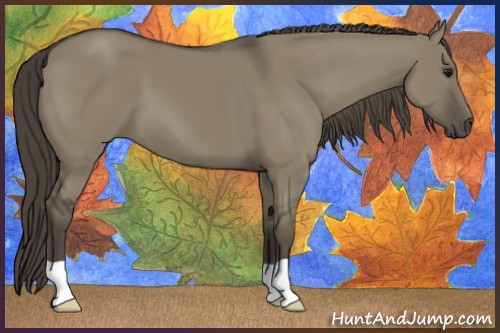 Horse Color:Smoky Grullo 