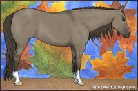 Horse Color:Smoky Grullo 