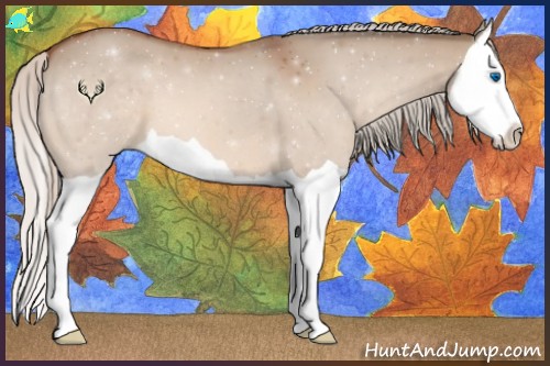 Horse Color:Silver Bay Dun Splash 