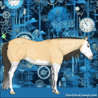 Horse Color:Buckskin Dun Splash 