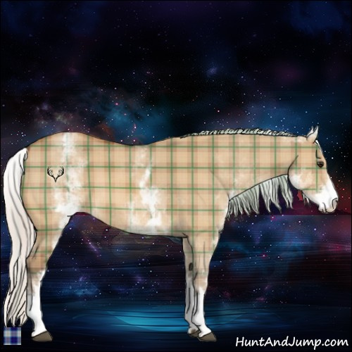 Horse Color:Plaid  White Spotted Silver Bay Dun 