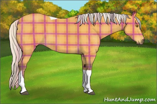 Horse Color:Plaid  Silver Buckskin Tobiano 