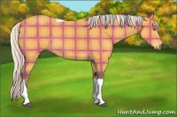 Horse Color:Plaid  Silver Buckskin Tobiano 