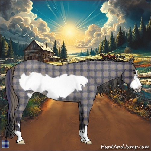 Horse Color:Plaid  Blue Roan Frame 