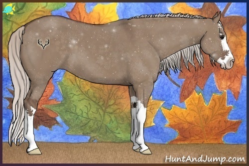Horse Color:Silver Grullo Splash