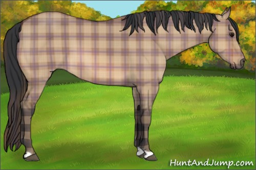 Horse Color:Plaid  Bay Dun 