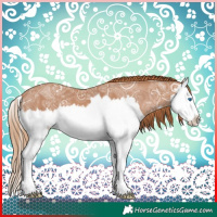 Horse Color:Chestnut Ice Splash 