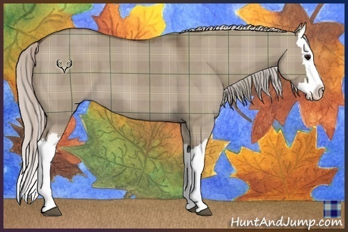 Horse Color:Plaid Silver Grullo Splash