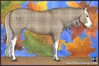 Horse Color:Plaid  Silver Grullo Splash 
