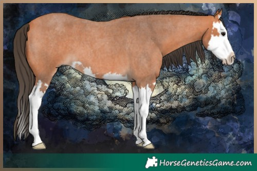 Horse Color:Bay Roan Splash 