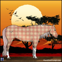Horse Color:Plaid  Silver Bay Dun Tobiano 