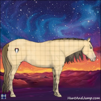 Horse Color:Plaid  Amber Cream Champagne 