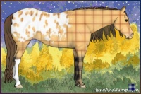 Horse Color:Plaid  Buckskin Blanket 