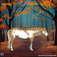 Horse Color:Plaid  Silver Brown Sabino Frame 