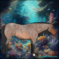 Horse Color:Bay Roan 