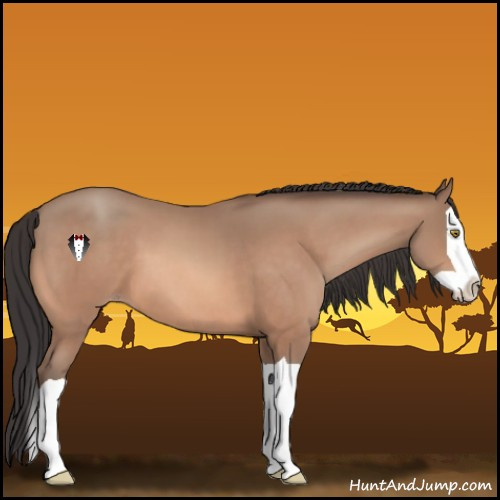 Horse Color:Sable Champagne Splash 
