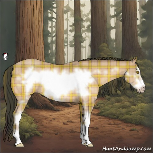 Horse Color:Plaid  Amber Champagne Sabino Frame Rabicano 