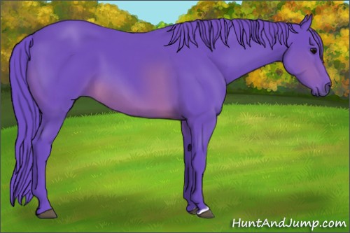 Horse Color:Watercolor Brown 