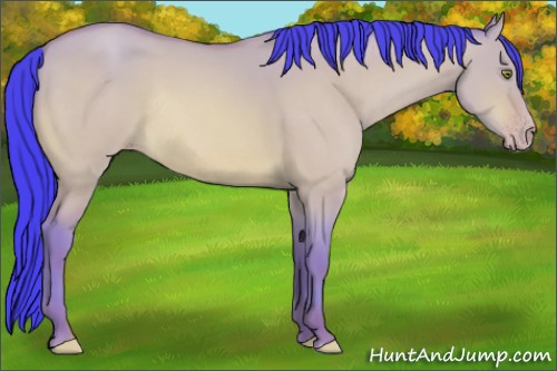 Horse Color:Watercolor Amber Champagne Dun Rabicano 