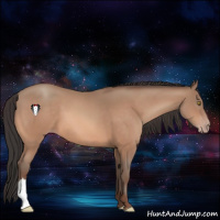 Horse Color:Sable Champagne 