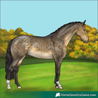 Horse Color:Buckskin Dun