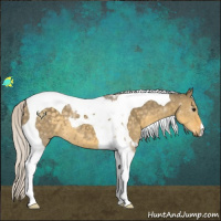 Horse Color:Silver Smoky Grullo Tobiano 