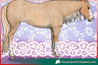 Horse Color:Palomino Roan 