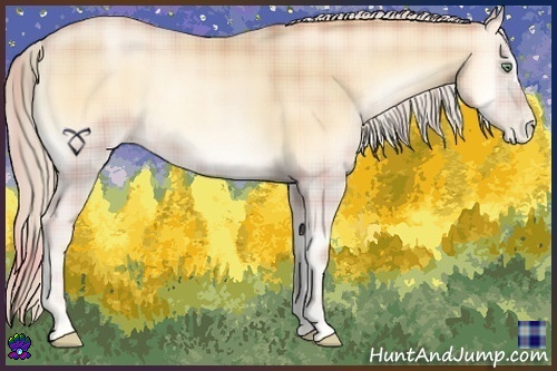 Horse Color:Plaid  Palomino Pearl Onyx 