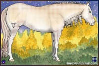 Horse Color:Plaid  Palomino Pearl Onyx 