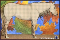 Horse Color:Plaid Red Dun