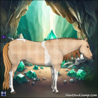 Horse Color:Plaid Red Dun Tobiano